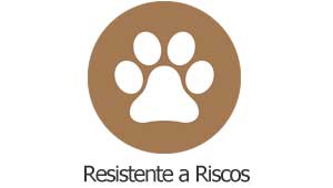 piso laminado colocado resistente riscos