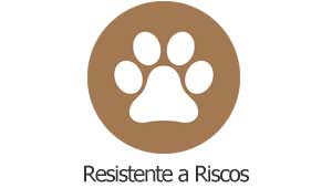 piso laminado colocado resistente riscos